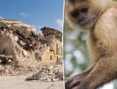 العالم هذا المساء.. ألف قتيل و1500جريح ضحايا زلزال أفغانستان.. مصرع رضيع بهجوم قرود على منزل بتنزانيا.. مايكروسوفت تكشف تجسس قراصنة روس على حكومات 42 دولة.. و"ناسا" تعلن نجاح اختبار صاروخ تعتزم إرساله إلى القمر