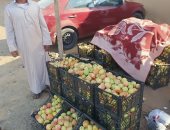 الطماطم والباذنجان بـ 5 جنيهات والكوسة بـ7.. جولة فى سوق العشرين بالمنوفية