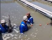 إنتاج أسماك مع الحفاظ على المياه.. تكنولوجيا استزراع جديدة 