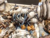 تراجع الطلب على الأسماك يدفع الأسعار للهبوط فى مصر