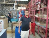 طماطم وبطاطس بـ5 جنيهات والسمك بـ35 جنيها والفراخ 38.. جولة فى أسواق المنوفية