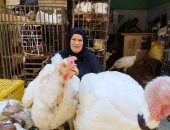 الحمام بـ50 جنيها والفراخ بـ39.. شاهد حكاية "أم أحمد" مع 40 سنة فى بيع الطيور بالزقازيق