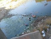 شكوى من طفح الصرف الصحى فى كفر الدوار بالبحيرة.. والمحافظة ترد
