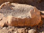 سلحفاة حامل عمرها 2000 عام وجدت فى بومبى.. اعرف التفاصيل 