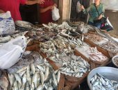 أسعار الأسماك فى الأسواق.. البلطى من 28 إلى 32 جنيها بسوق الجملة