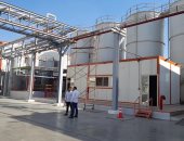 تموين شمال سيناء: توفير لحوم أضاحى وسلع من بورسعيد لشمال سيناء.. صور