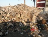 شكوى من تراكم أكوام القمامة في مدخل جزيرة طما بسوهاج.. وقروى سلامون يرد