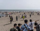 اليابان تلجأ للذكاء الاصطناعى للكشف عن التيارات القوية بالشواطئ لمنع الحوادث