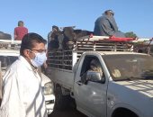 صور.. لجنة من الطب البيطرى بالأقصر تقود حملة على سوق الماشية بالحبيل