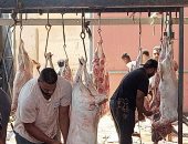 ذبح 360 أضحية بمجازر كفر الشيخ للمواطنين بالمجان ثالث أيام عيد الأضحى