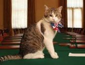 "القط لارى": الملك تشارلز طلب منى أن أصبح رئيسا للوزراء