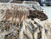 "خطة النواب": الحكومة تستهدف زيادة الإنتاج السمكى لـ3.5 مليون طن بالموازنة الجديدة