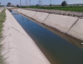 شغل فى كل مصر.. الانتهاء من تبطين وتأهيل ترعة بنى أحمد بالمنيا.. لايف