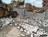 حملات مستمرة لإزالة التعديات على الأراضى الزراعية بمركز المحلة 