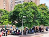 فتح 16 حديقة غدًا بالمجان لأبناء القاهرة من ذوى الهمم