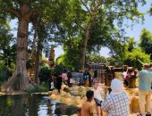 حدائق القناطر الخيرية تستقبل المواطنين للاحتفال برابع أيام العيد