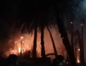 الدفاع المدنى بالوادى الجديد يسيطر على حريق فى مزرعة دون إصابات.. صور