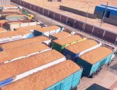 واردات مصر من القمح ترتفع في أغسطس وتتجاوز 444 مليون دولار