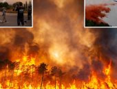 استمرار الحرائق فى إسبانيا بسبب الحر والجفاف.. إخلاء المنازل بـ8 بلديات.. فيديو