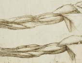 كيف اكتشف ليوناردو دافنشى جمال علم التشريح؟
