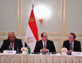 الرئيس السيسى يؤكد مواصلة جهود الإصلاح والتطوير فى ظل تنفيذ "رؤية مصر 2030"