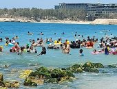 زحام وتكدس المصطافين على شواطئ الإسكندرية بعد انتهاء ماراثون الامتحانات
