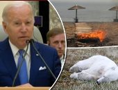 العالم هذا المساء.. طبيب البيت الأبيض يكشف نوع فيروس كورونا المصاب به بايدن.. حرائق تلتهم منتجعا سياحيا باليونان.. إنقاذ دب قطبى جائع علق لسانه داخل علبة صفيح.. واستفتاء بزابوريجيا وخيرسون للانضمام إلى روسيا