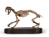 النمور السيفية.. تمثال برونزى مصبوب داخل عظام حقيقية للبيع "صور"
