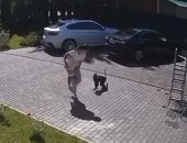 قرد يهاجم طفلة أوكرانية فى موسكو ويحاول خطفها من والدتها.. فيديو