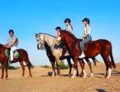 سفارى الخيول.. سياح من مختلف دول العالم في رحلة ساحرة بالبر الغربى