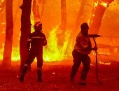السلطات اليونانية تأمر بإخلاء قريتين لنشوب حريق غابات جديد قرب أثينا
