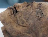 دراسة حديثة: رأس مومياء عمرها 2700 عام تكشف أسرارا جديدة عن المصرى القديم