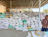 غرفة صناعة الحبوب: مخزون القمح يكفى لـ7 أشهر مع دعم الدولة للمزارعين
