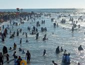 إنقاذ 61 حالة من الغرق وتسليم 185 طفلا تائها إلى ذويهم في رأس البر