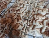 تموين الأقصر تحرر 17 محضر مخالفات تشمل مخابز وسجائر بدون فواتير