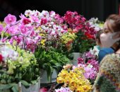 الصين تحتفل بعيد الحب مطلع أغسطس وازدهار سوق "الأزهار".. صور