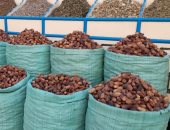 مهرجان التمور التراثى.. استعدادات عرض وترويج محصول 2 مليون نخلة فى أسوان