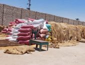 محافظ سوهاج: توريد أكثر من 110 آلاف طن قمح للصوامع حتى الآن
