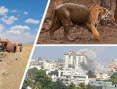 العالم هذا المساء.. استشهاد 10بينهم طفلة وعشرات المصابين فى قصف إسرائيلى على غزة.. انحراف قطار  من 8 عربات صهريج محملة بمادة المازوت بالجزائر.. والجفاف وانعدام مياه شرب يضربان أكثر من 100 بلدية بفرنسا