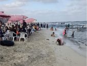 "السياحة والمصايف" بالإسكندرية تعلن استقرار حالة الأمواج بالشواطئ