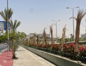 القابضة للمطارات: تطوير شبكة الطرق بمطار القاهرة وزيادة المساحات الخضراء 