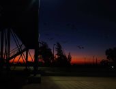 حلوة يا بلدى.. "محمد" يشارك موهبته بتصوير جمال القاهرة