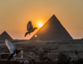 الهيئة الكندية للتراث المصري: شهر الحضارة هدفه نقل صورة مصر الجميلة للعالم