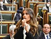 نائبة بـ"خارجية النواب": جهود مصر فى وقف العدوان بغزة تظهر القيادة الحكيمة للرئيس السيسي
