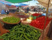 انخفاض أسعار الدواجن والخضراوات والفاكهة فى المنوفية.. فيديو وصور