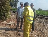 الشرقية تبدأ تشجير الطرق الرئيسية ضمن المبادرة الرئاسية لزراعة 100 مليون شجرة