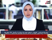 تفاصيل جلسة مجلس النواب لنظر تعديل وزارى يشمل 13 حقيبة.. فيديو