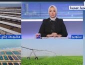 أستاذ اقتصاد: مشروعا الدلتا الجديدة والصوامع الزراعية سيكون لهما مردود إيجابي على الدولة المصرية