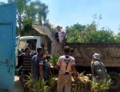 مراكز ومدن الشرقية تواصل زراعة الأشجار ضمن مبادرة 100 مليون شجرة