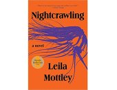 روايات البوكر.. الزحف ليلا".. رواية مؤلمة ومذهلة تبحر فى أصعب لحظات الشباب 